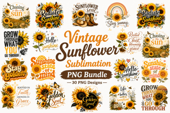 Download Vintage Sunflower Sublimation PNG Bundle - Sublimation png Collection